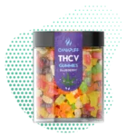 Canapuff - THCv Gummies - Blueberry